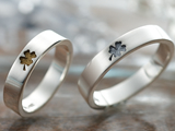 ����С��ڥ���󥰡�four-leaf clovers�� ����ʡ��