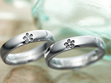 Flower���ָ��ա�