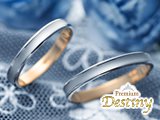 Premium Destiny�ڥ����