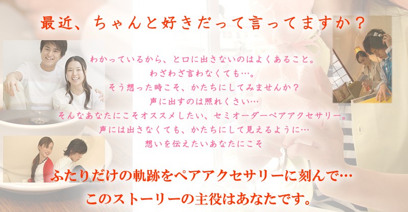 �ۤ���������ʤ饻�ߥ��������ᥤ�ɡ�