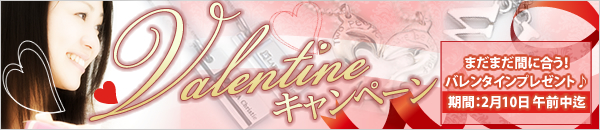 ���������ᥤ�ɥڥ����������꡼����ŵ�����ƥ������祳�ץ쥼���