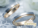 Premium Destiny�ڥ����