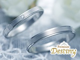 Premium Destiny�ڥ����