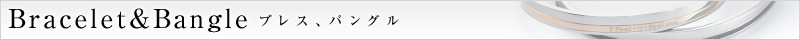 �֥쥹���Х󥰥�