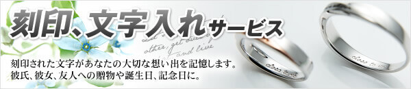 �����ʸ�����쥵���ӥ�