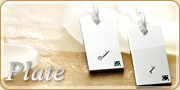 �ץ졼�ȥǥ����� 